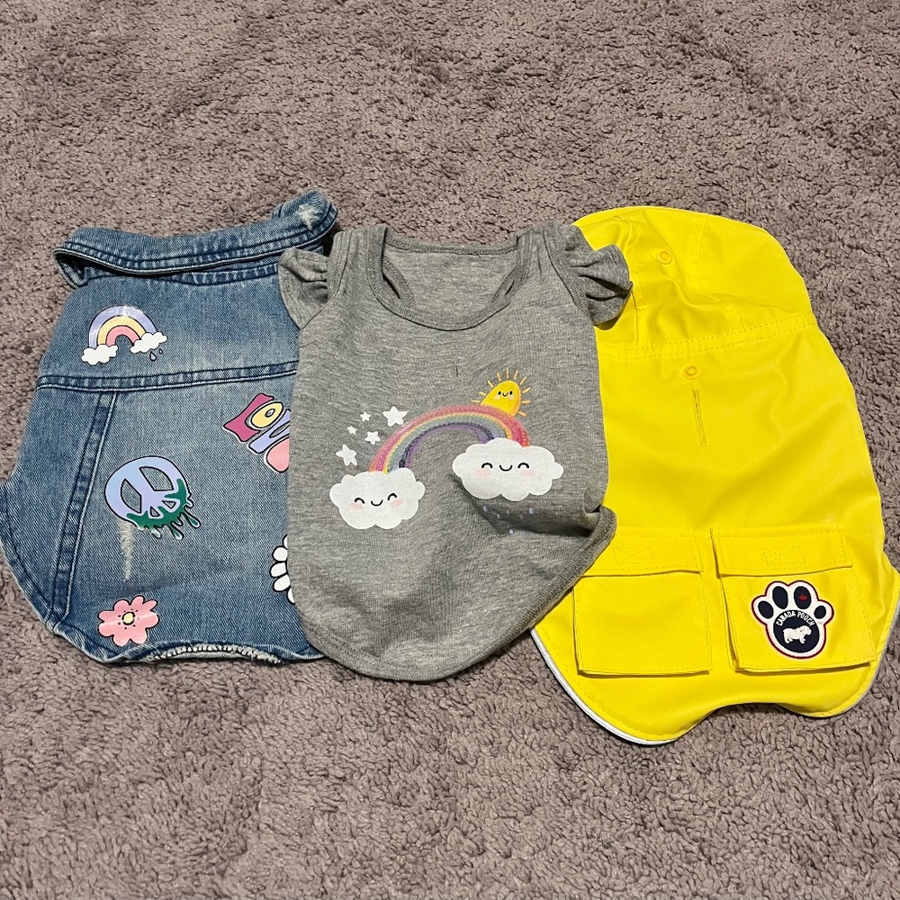 Set of small dog clothes - graphic shirt, jean jacket and rain coat